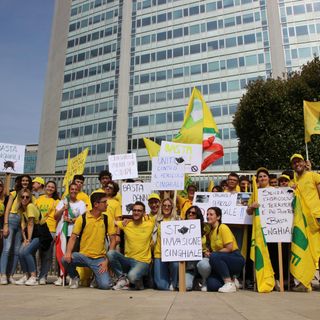 Cinghiali: Sos campagne, 6 milioni di danni