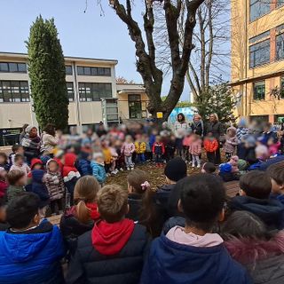 Settimana Green all’Istituto Tommaseo: iniziative sostenibili per una scuola eco-friendly