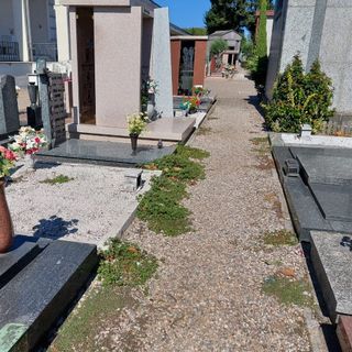 Maurizio Pacchioni riflette sulle criticità olgiatesi