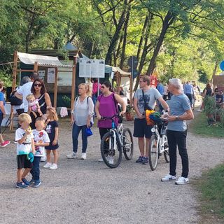 FOTO. Alla stazione di Gorla Minore si sente ancora fischiare il treno