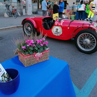 Manifestazione in piazza Garibaldi, Gallarate (foto dalla pagina Fb di Gams)