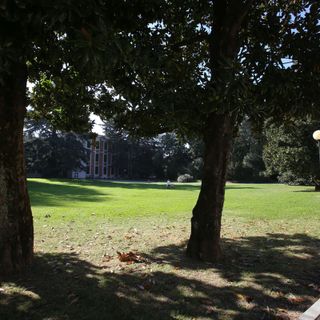 Il parco che circonda l'ateneo della Liuc a Castellanza