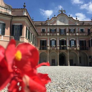 Ambiente, Varese adotta il nuovo regolamento del verde urbano