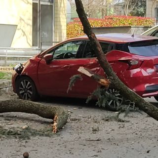 Grosso ramo cade davanti al padiglione 9 dell'ospedale di Circolo: un'auto danneggiata Grosso ramo cade davanti al padiglione 9 dell'ospedale di Circolo: un'auto danneggiata