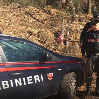 Spaccio nella &quot;rete verde&quot; dei boschi di Cugliate Fabiasco: due uomini arrestati dai carabinieri
