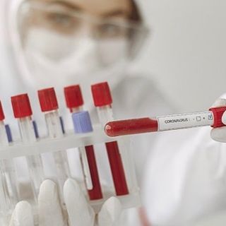 Coronavirus, i dati di venerdì 26 febbraio: nel Varesotto 365 contagi. Varese +29, Busto +30, Gallarate +21, Saronno +11