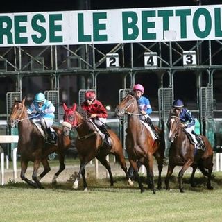 Una bella serata d'estate con le corse alle Bettole. L'emozione del Memorial Marcialis
