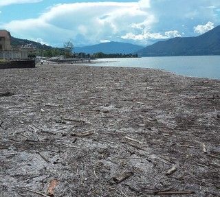 Quando la spiaggia è sul lago: al via da oggi la stagione balneare in Piemonte