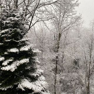 Varese si risveglia sotto la neve di marzo: colpo di coda dell'inverno a pochi giorni dalla primavera