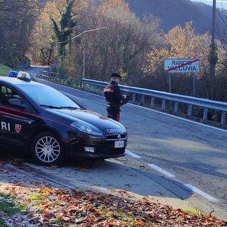 Trovato nei boschi con un panetto di hashish: denunciato