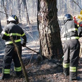 Vigili del fuoco in azione nei boschi del Varesotto (foto d'archivio)