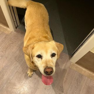 La storia di Luigi e Maia: un ri(incontro) speciale, per abbracciare la vita