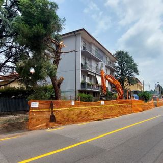 Al via i lavori di riqualificazione in via Colombo a Gorla Minore, ma "costano" 19 pini marittimi