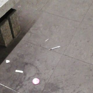 Siringa vicino ai binari alla stazione Nord