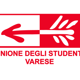 L’Unione degli Studenti di Varese in corteo per i diritti delle donne