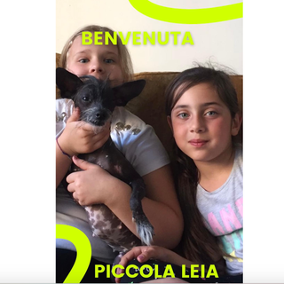 Yeva con la cagnolina Leia e l'amica Chiara, un ritratto di famiglia e felicità - foto per cortesia del sindaco Pignatiello