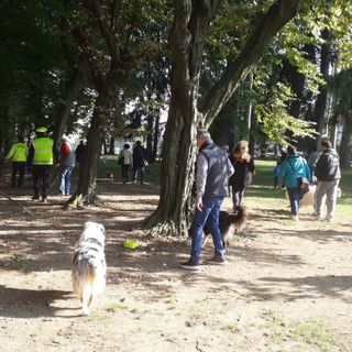 In tanti per il ritorno della Zampettata d'Autunno di Olgiate