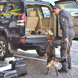 Soldi e droga, in un anno ai valichi del Comasco sequestrati oltre un milione e mezzo di euro e mezza tonnellata di stupefacenti