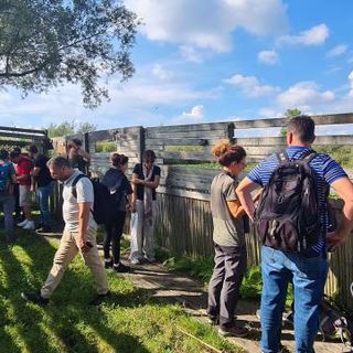 Palude Brabbia e lago di Varese: una visita speciale dal Libano