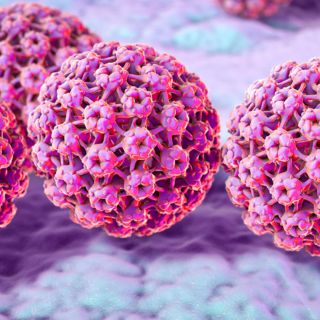 Giornata mondiale contro l'HPV: dal 4 all’8 marzo Ats Insubria e Asst in campo per la prevenzione Giornata mondiale contro l'HPV: dal 4 all’8 marzo Ats Insubria e Asst in campo per la prevenzione