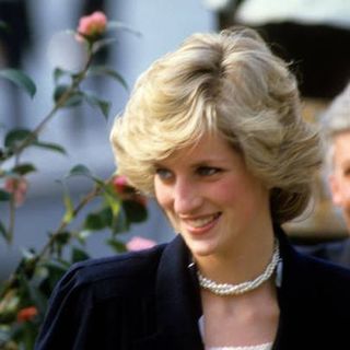 Lady Diana e sullo sfondo l'ex sindaco di Laveno Ercole Ielmini (foto concessa da Ielmini) Lady Diana e sullo sfondo l'ex sindaco di Laveno Ercole Ielmini (foto concessa da Ielmini)
