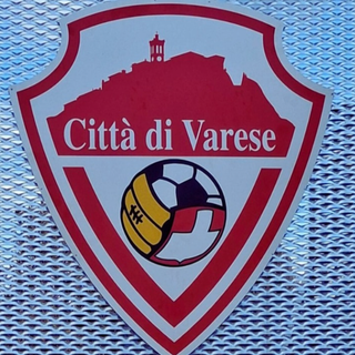 Il logo che rappresenta davvero l'anima di questo Varese e di chi si è sacrificato per lui partendo dalle ceneri della terza categoria. Sotto in gallery i nuovi loghi proposti dalla società che ha deciso di cambiare nome, trasforrmadosi in Varese Football Club