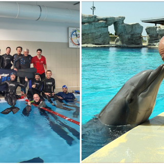 Gli apneisti della Deep Blue Freediving nella piscina dell'Acinque Ice Arena, la loro casa per gli allenamenti, e un maestro mondiale della disciplina come Gianluca Genoni