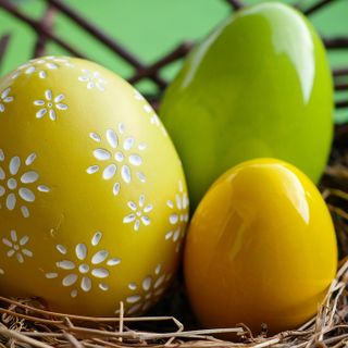 Gli studenti dell'I.C. “Manzoni” di Castellanza in visita solidale all’Ospedale Del Ponte di Varese