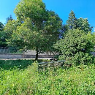 Ecco come si presenta il giardinetto di via Nazaro Sauro