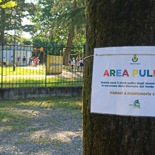 Verde Pulito. Ad Angera gli alunni della scuola primaria educano i "grandi"