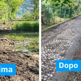 I risultati del grande lavoro dei volontari sulla pista ciclabile di Biandronno