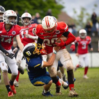 I Gorillas Varese a Segrate per l’ultima trasferta della regular season: domenica sfida cruciale contro i Rams Milano