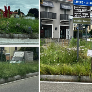 La "selva oscura" di viale Europa