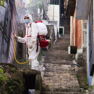 Eliminare infestanti come blatte, formiche, cimici da letto, zanzare, topi e vespe