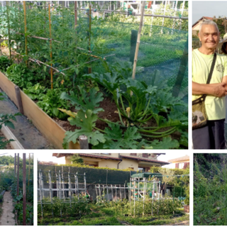 Gli orti urbani di via Santa Maria Maddalena a Bizzozero: quelli coltivati grazie al duro lavoro e alla passione di un gruppo di persone che sono diventati anche amici sono uno spettacolo, gli altri non assegnati o abbandonati con erba alta un po' meno...