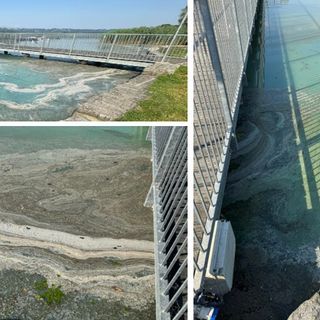 Lo stato dell'acqua al lido di Bodio nei giorni scorsi immortalato negli scatti di Gianluca Bertoni e dalle segnalazioni giunte in redazione