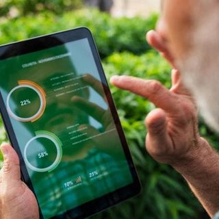 Monitoraggio intelligente e agricoltura 4.0: Plantvoice guida il cambiamento