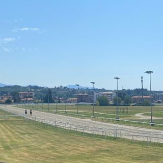 Cavalli in pista alle Bettole