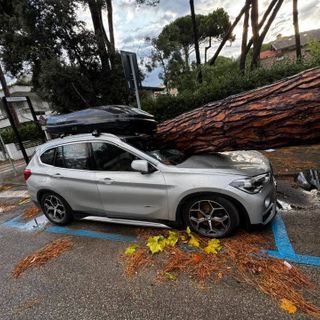 Un'auto colpita da un tronco a Milano Marittina  (foto dalla pagina Facebook Emilia Romagna Meteo)