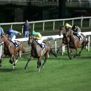 In undici per il Gran Premio Città di Varese Memorial Carlo Curti e Trofeo CFO