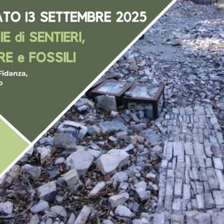 Besano, escursione sulle tracce dei fossili