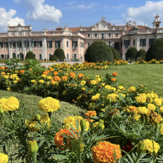 Il Comune di Varese mette all’asta 12 immobili: ci sono villette, terreni e l'ex scuola Gorini