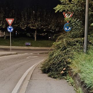 LA SEGNALAZIONE. Marciapiede come una "giungla": «Tratto impraticabile, perché si dimenticano di sfalciarlo?»