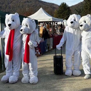 Torna il 29 e il 30 novembre la Magia di Natale ad Arcisate