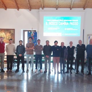 Varese al lavoro per una gestione attiva dei boschi: riunito il 1° Tavolo di lavoro delle Asfo provinciali