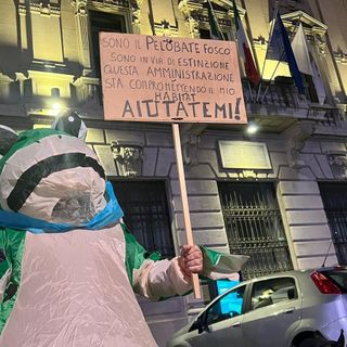 «Aiutatemi»: appello del pelobate davanti a palazzo Borghi ma sul nuovo palazzetto si tira dritto