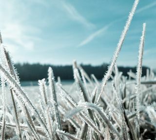 Una domenica sotto zero: -4 a Varese, -6,4 in Valganna, -7 a Varano Borghi. Il Centro Geofisico: «Domani possibile neve»