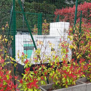 Il gruppo elettrogeno di Porto Ceresio