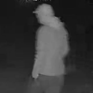 Un ladro in azione a Travedona Monate ripreso dalle telecamere