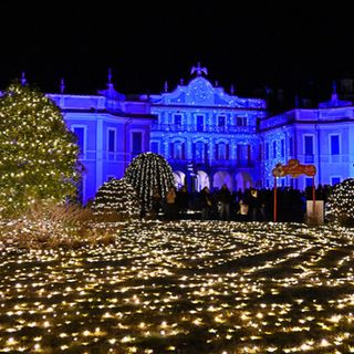 Il Giardino delle Meraviglie a Palazzo Estense